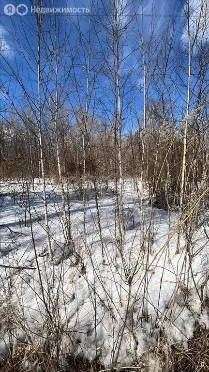 Участок в Благовещенск, СТ Завода Амурский Металлист (11.3 м) - Фото 2