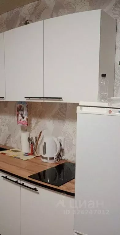 Студия Алтайский край, Бийск Ленинградская ул., 61 (21.0 м) - Фото 2