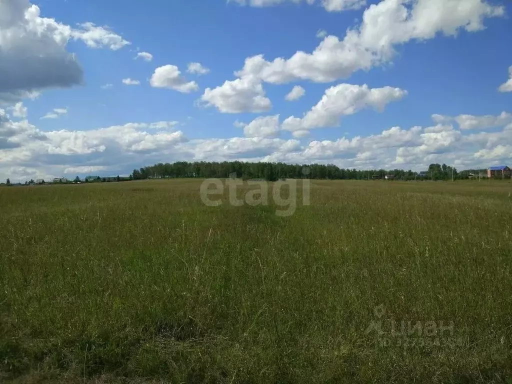 Участок в Красноярский край, Емельяновский муниципальный округ, пос. ... - Фото 2