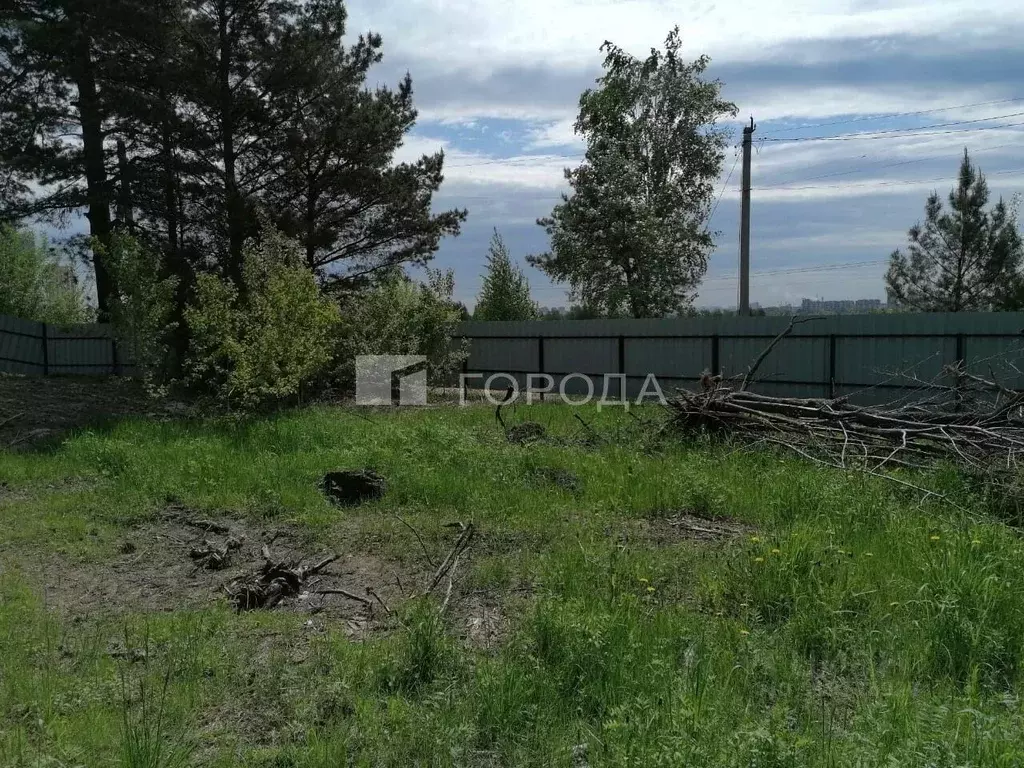 Участок в Новосибирская область, Новосибирск Заельцовский Парк тер., ... - Фото 1