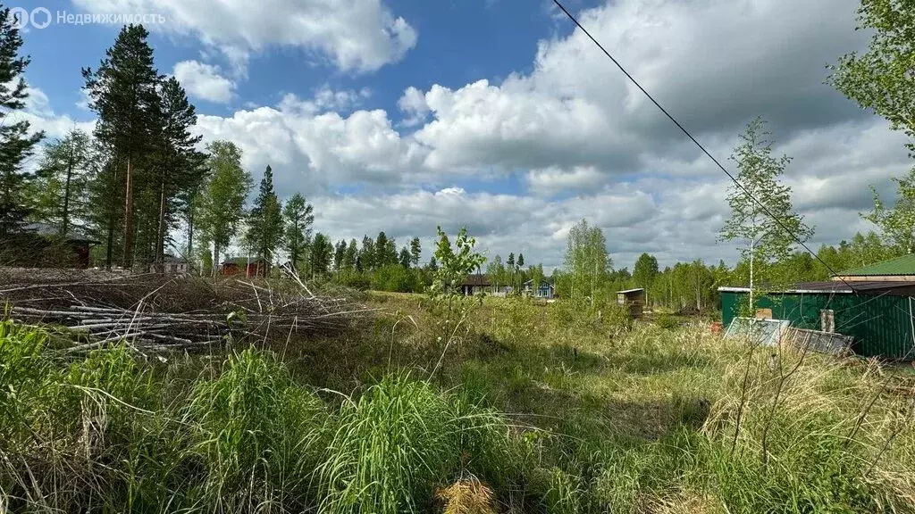 Участок в Ушаковское муниципальное образование, ДНТ Серебряный ключ (9 ... - Фото 0