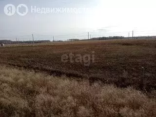 Участок в Ишимский район, село Гагарино (15 м) - Фото 1