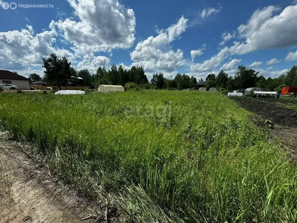 Участок в Тюмень, садовое товарищество Ясень (11 м) - Фото 0