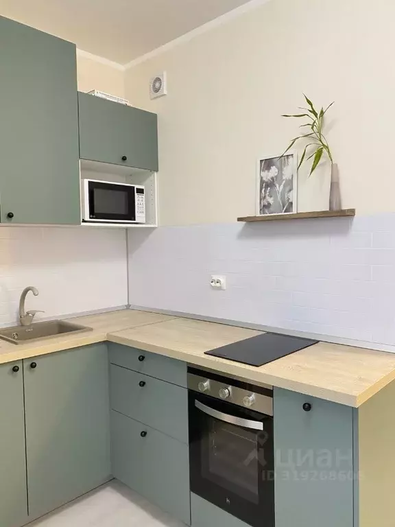 Студия Санкт-Петербург пос. Парголово, ул. Архитектора Белова, 5к1 ... - Фото 1