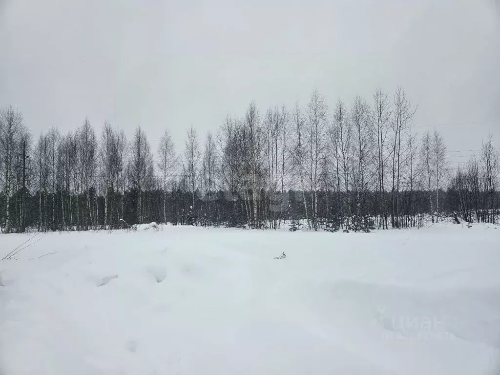 Участок в Владимирская область, Ковров ул. Отрадная (10.5 сот.) - Фото 1