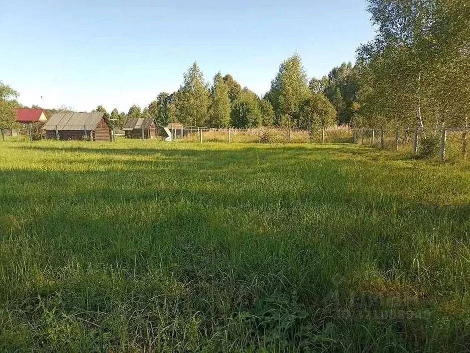 Дом в Рязанская область, Клепиковский район, Уткинское с/пос, с. ... - Фото 2