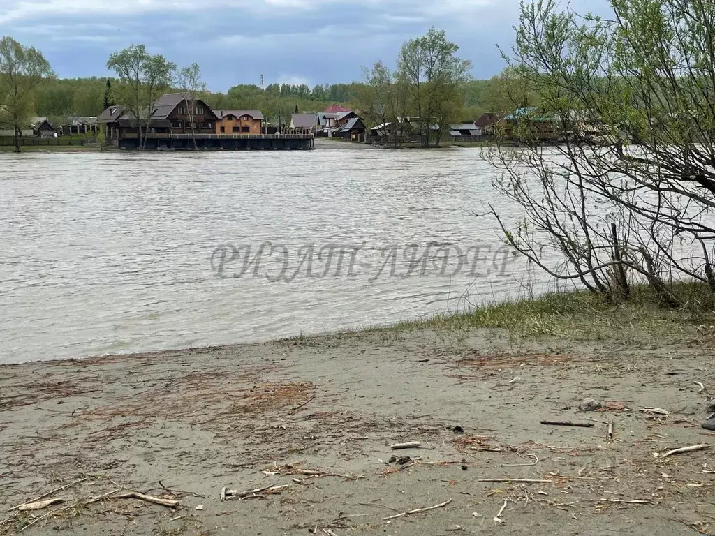 Дом в Алтай, Майминский район Р-256 Чуйский тракт, 453-й км (48 м) - Фото 2