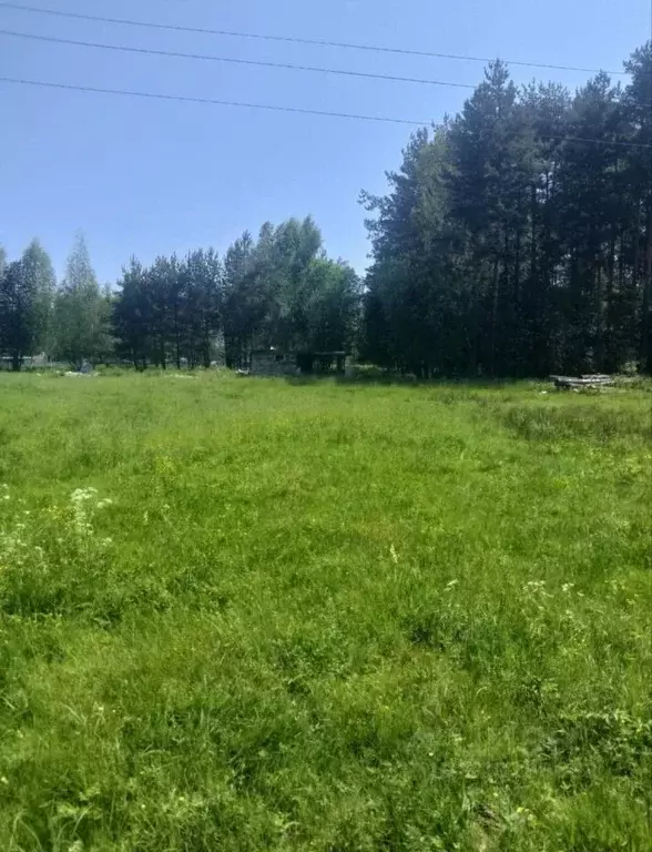 Участок в Тверская область, Калининский муниципальный округ, д. ... - Фото 1