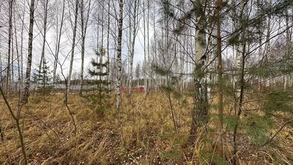 Участок в Тверская область, Конаковский муниципальный округ, Ремонтник ... - Фото 2
