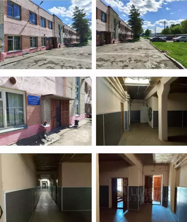 Помещение свободного назначения в Новосибирская область, Новосибирск ... - Фото 1