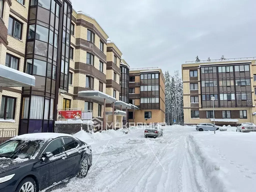 Студия Ленинградская область, Сертолово Всеволожский район, ул. ... - Фото 0