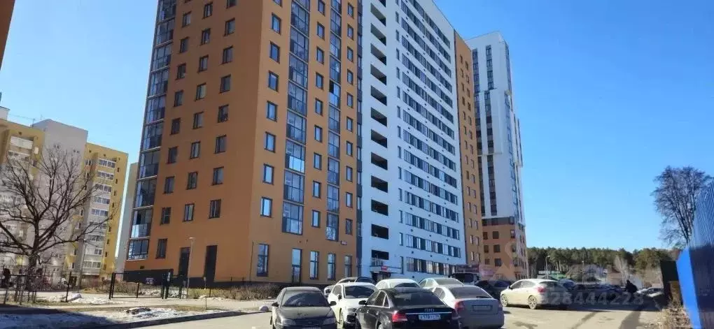 Студия Свердловская область, Екатеринбург ул. Шолохова, 2/2 (25.0 м) - Фото 1