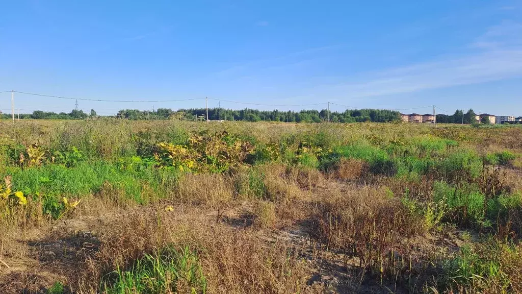 Участок в Ленинградская область, Тосненский район, Федоровское ... - Фото 2