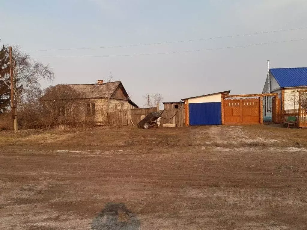 Красноусово омская область. Красноусово школатюкалинский. Хутора омская область. Гауф хутор. Дача в гауф хуторе омская область.