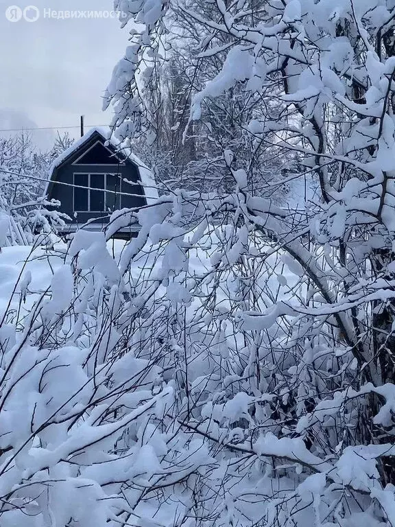 Участок в Пустомержское сельское поселение, деревня Клённо, ... - Фото 1
