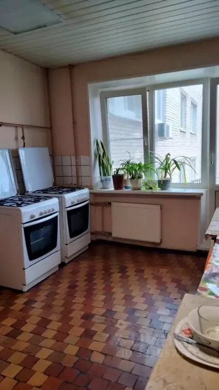 Комната Санкт-Петербург ул. Ушинского, 5К2 (11.4 м) - Фото 2