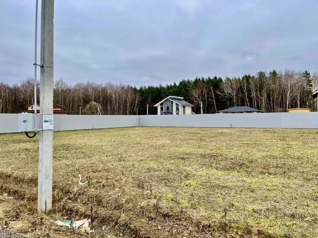 Участок в Московская область, Домодедово Бор кп, ул. Еловая (12.0 ... - Фото 1