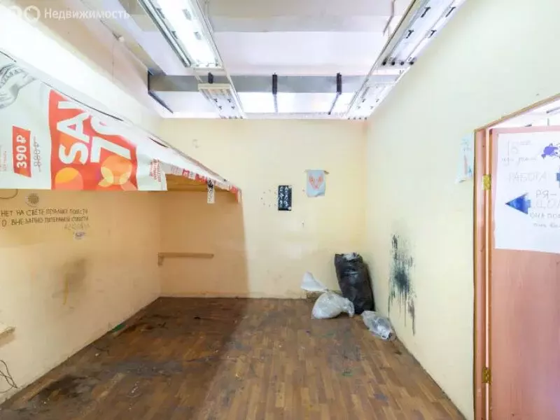 Офис (14.6 м) - Фото 2