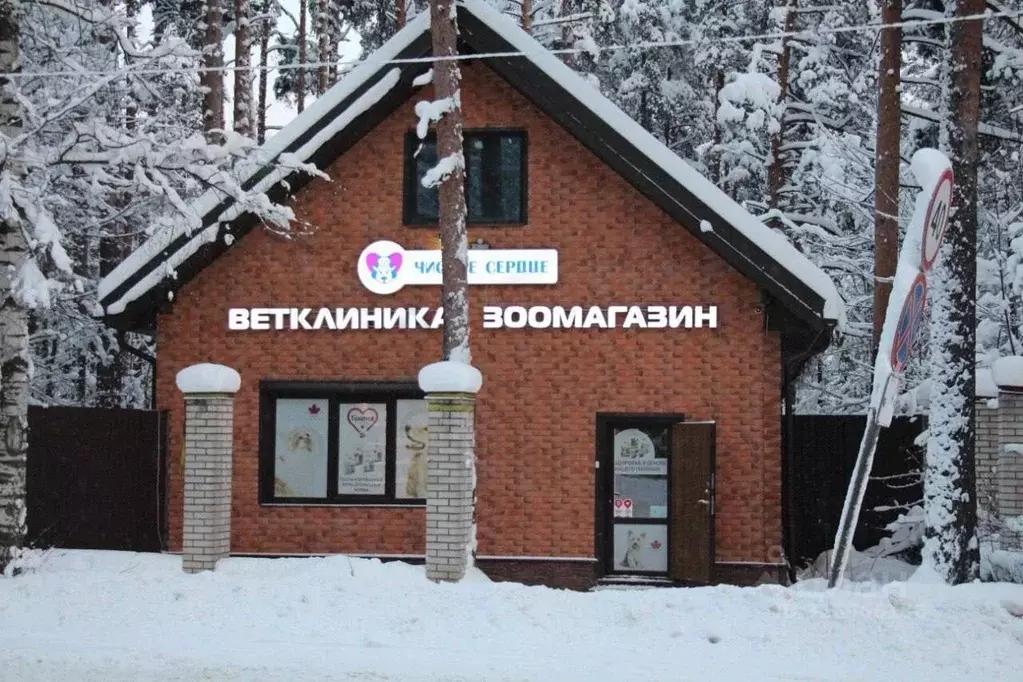 Помещение свободного назначения в Ленинградская область, Всеволожск ... - Фото 1