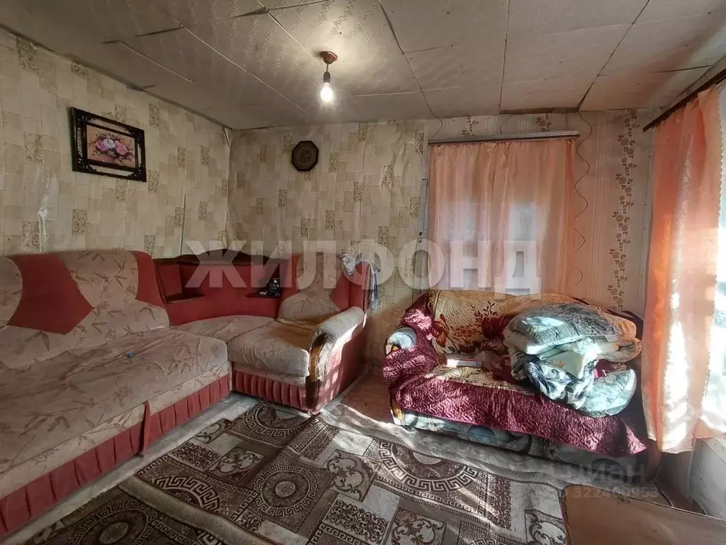 Дом в Новосибирская область, Колыванский район, с. Скала Зеленая ул. ... - Фото 0