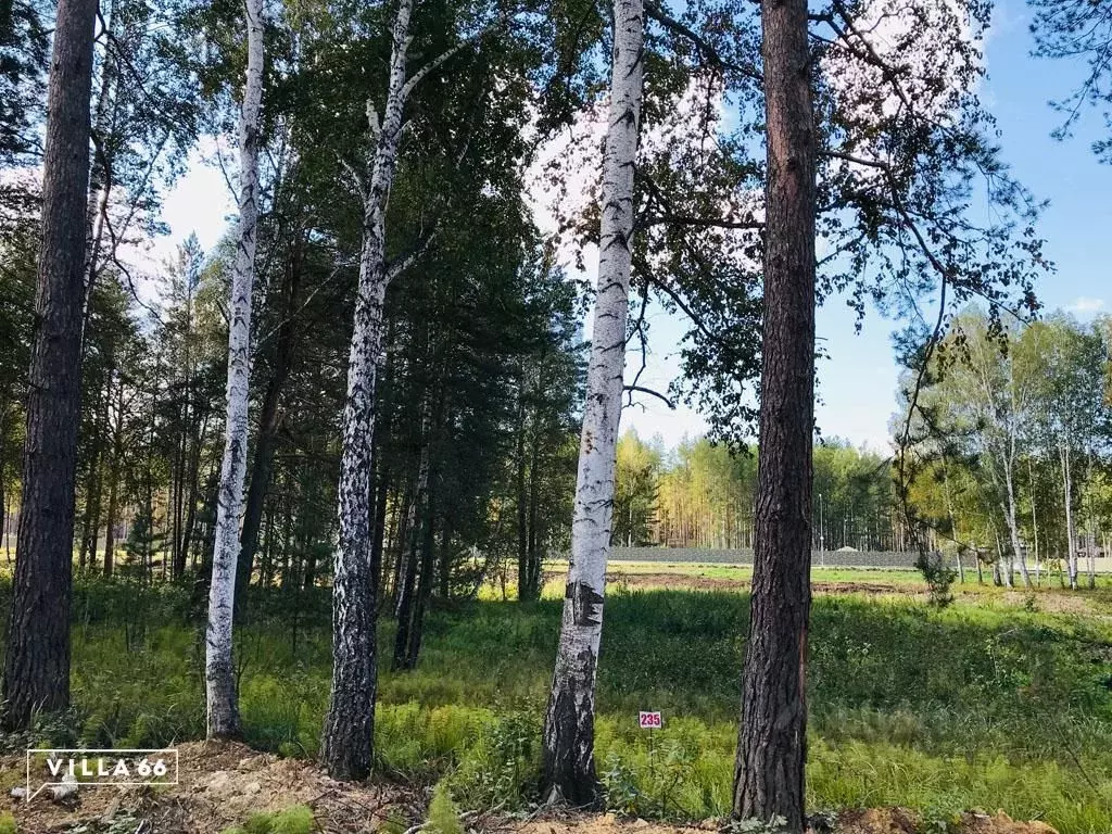 Участок в Свердловская область, Сысертский муниципальный округ, ... - Фото 0