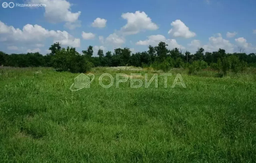 Участок в Тюменский муниципальный округ, село Ембаево (10 м) - Фото 0