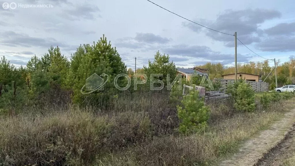 Участок в Каменка, дачное некоммерческое товарищество Подушкино (5.4 ... - Фото 0