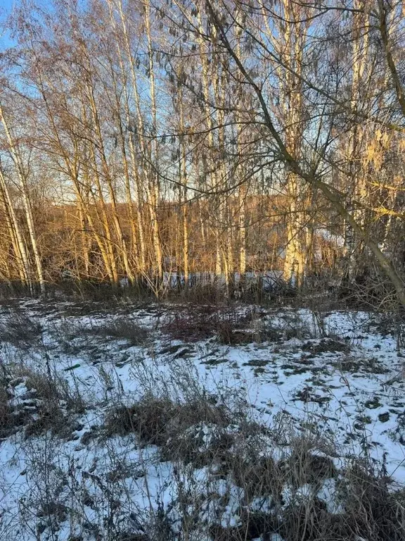 Участок в Владимирская область, Покров городской округ, д. Старое ... - Фото 1