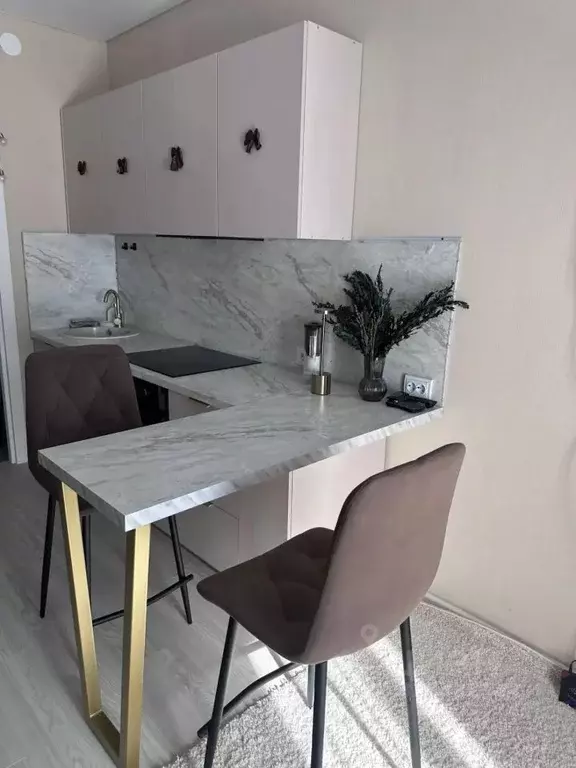 Студия Санкт-Петербург пос. Шушары, просп. Старорусский, 5к2 (23.7 м) - Фото 1