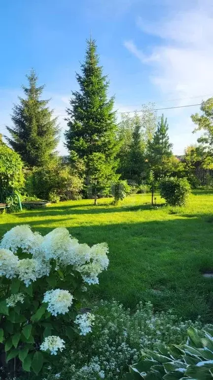 Дом в Новосибирская область, Искитимский район, Мичуринский сельсовет, ... - Фото 0