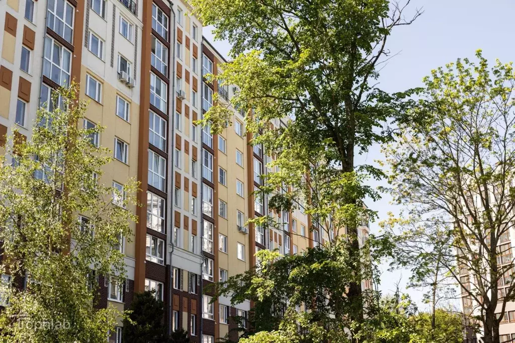 Гараж в Калининградская область, Зеленоградск Московская ул. (3 м) - Фото 2