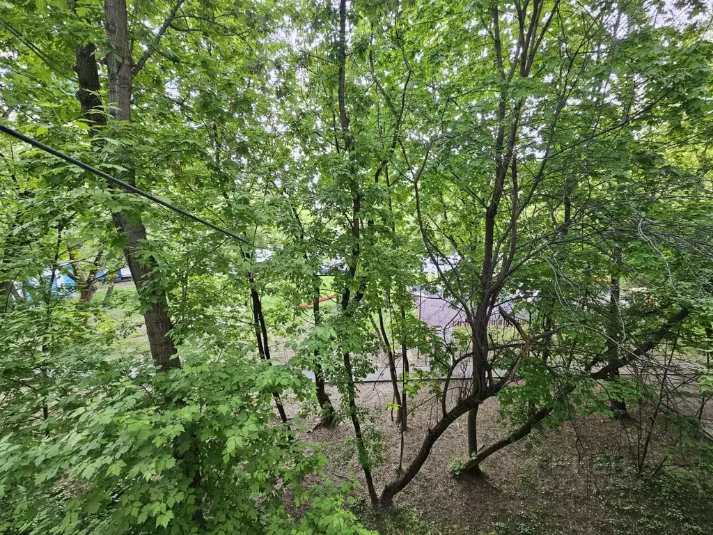 2-к кв. Москва Севанская ул., 17 (45.0 м) - Фото 1