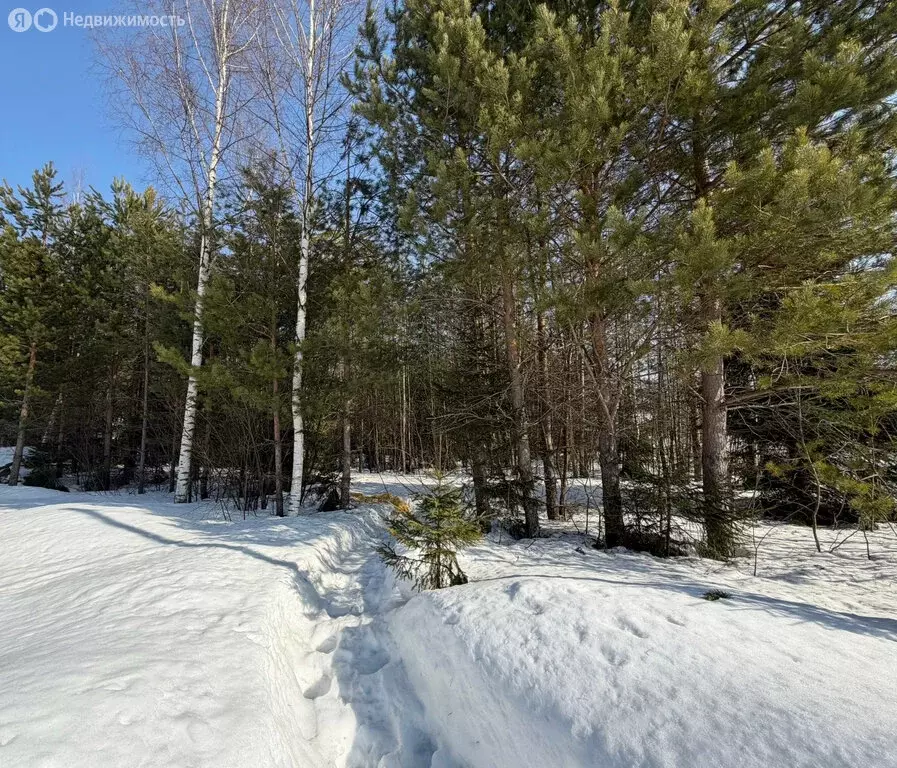 Участок в деревня Шихово, Майская улица (12 м) - Фото 1