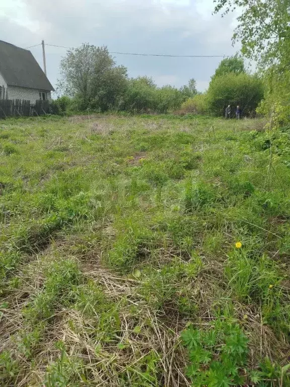 Участок в Брянская область, Брянский район, Мичуринское с/пос, Заря ... - Фото 1