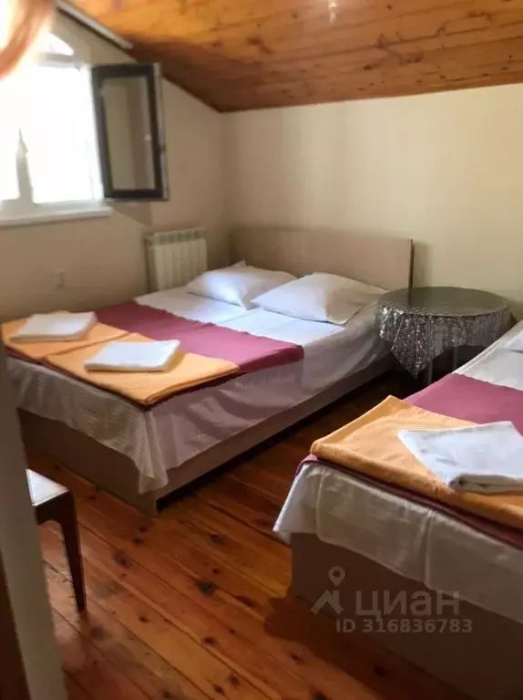 Комната Краснодарский край, Сочи ул. Ленина, 52А (12.0 м) - Фото 0