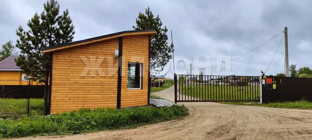 Участок в Новосибирская область, Новосибирский район, Кубовинский ... - Фото 1