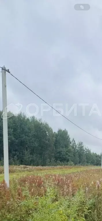 Участок в Тюменская область, Тюменский район, с. Кулига, Кулига-2 мкр  ... - Фото 1