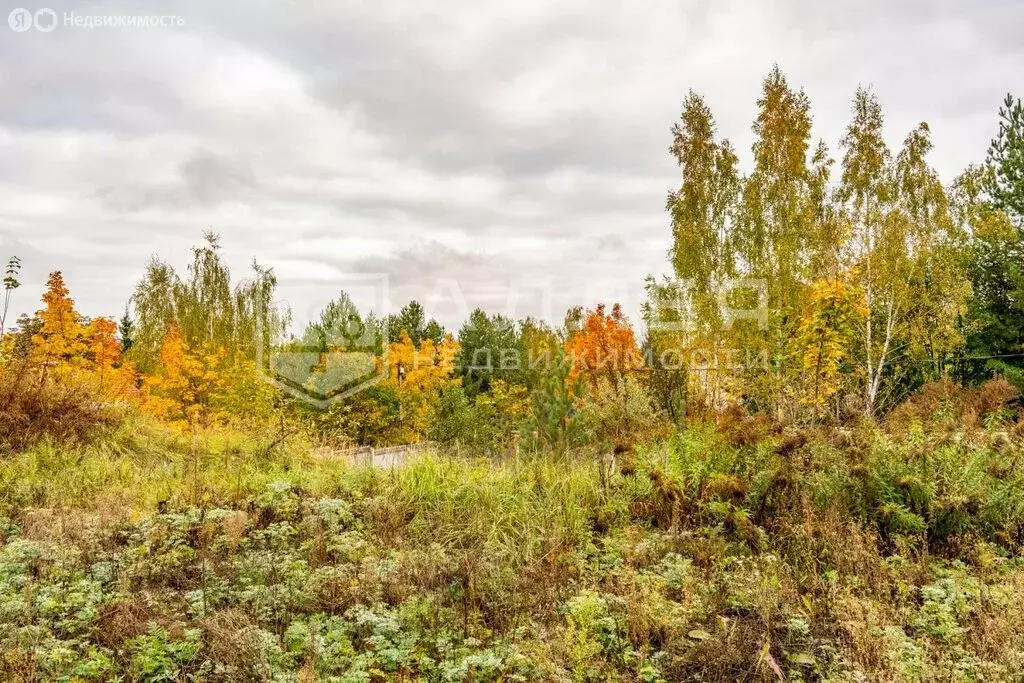 Участок в Одинцовский городской округ, деревня Раздоры (25 м) - Фото 1