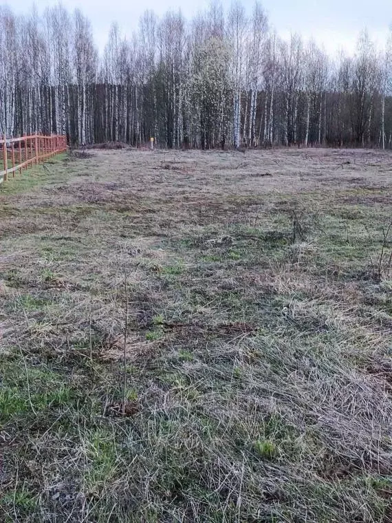 Участок в Пермский край, Березники муниципальный округ, д. Володин ... - Фото 0