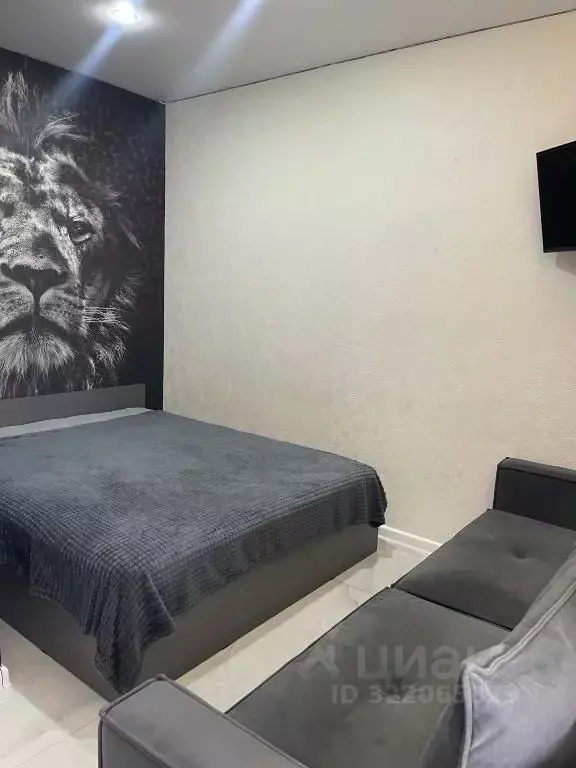 1-к кв. Красноярский край, Красноярск Свободный просп., 66М (20.0 м) - Фото 2