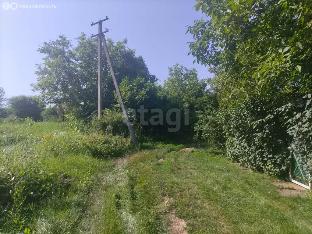 Участок в Славянск-на-Кубани, садовое товарищество Заря (4.5 м) - Фото 2