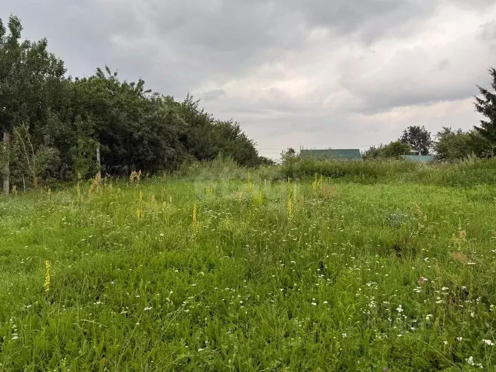 Участок в Калужская область, Город Калуга городской округ, д. Крутицы  ... - Фото 2