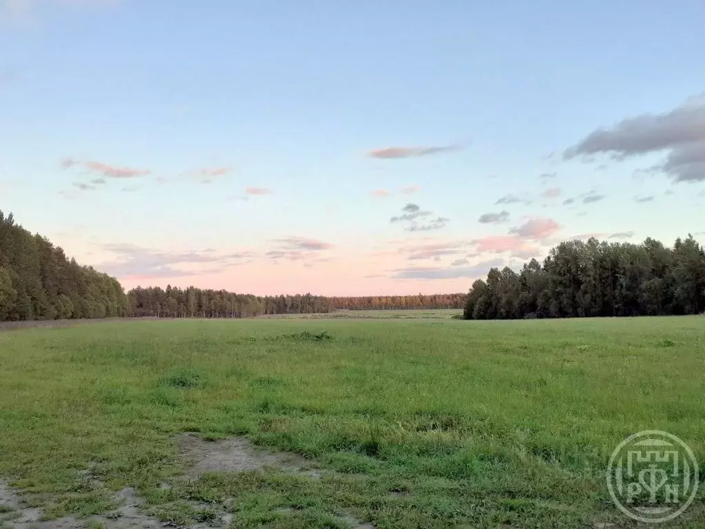 Участок в Ленинградская область, Выборгский район, Красносельское ... - Фото 2