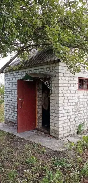 Участок в Белгородская область, Белгородский район, Северный городское ... - Фото 1