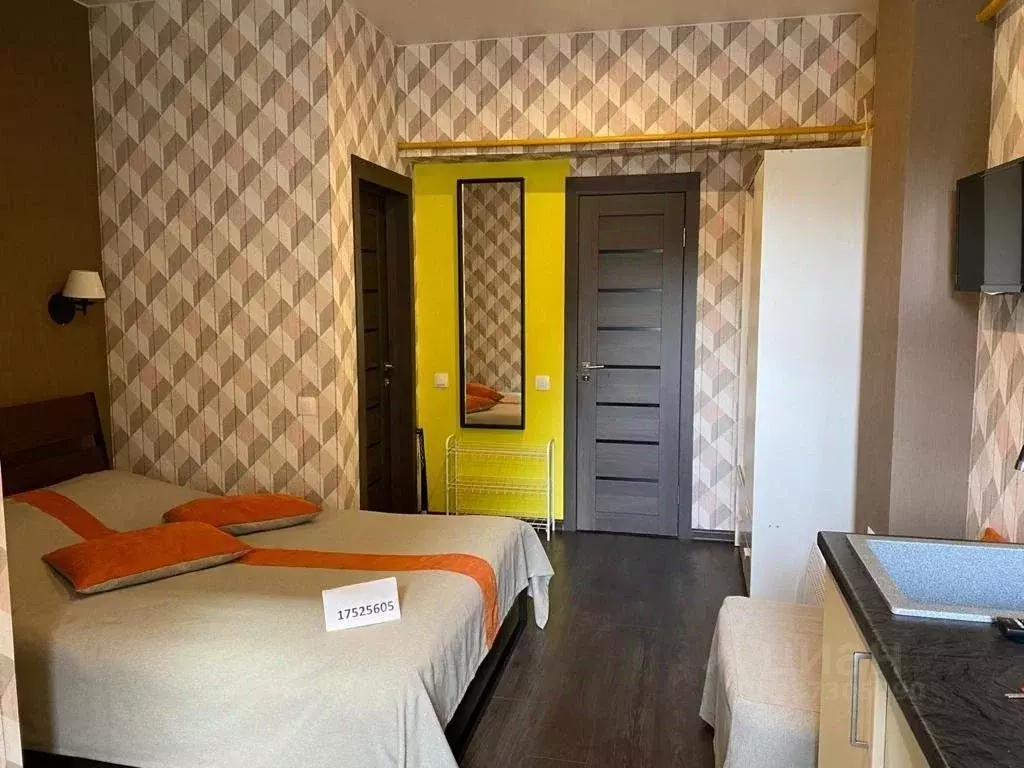 1-к кв. Санкт-Петербург Конная ул., 4 (20.0 м) - Фото 1