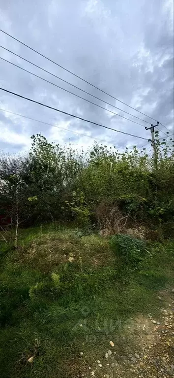 Участок в Краснодарский край, Усть-Лабинский район, Воронежское с/пос, ... - Фото 1