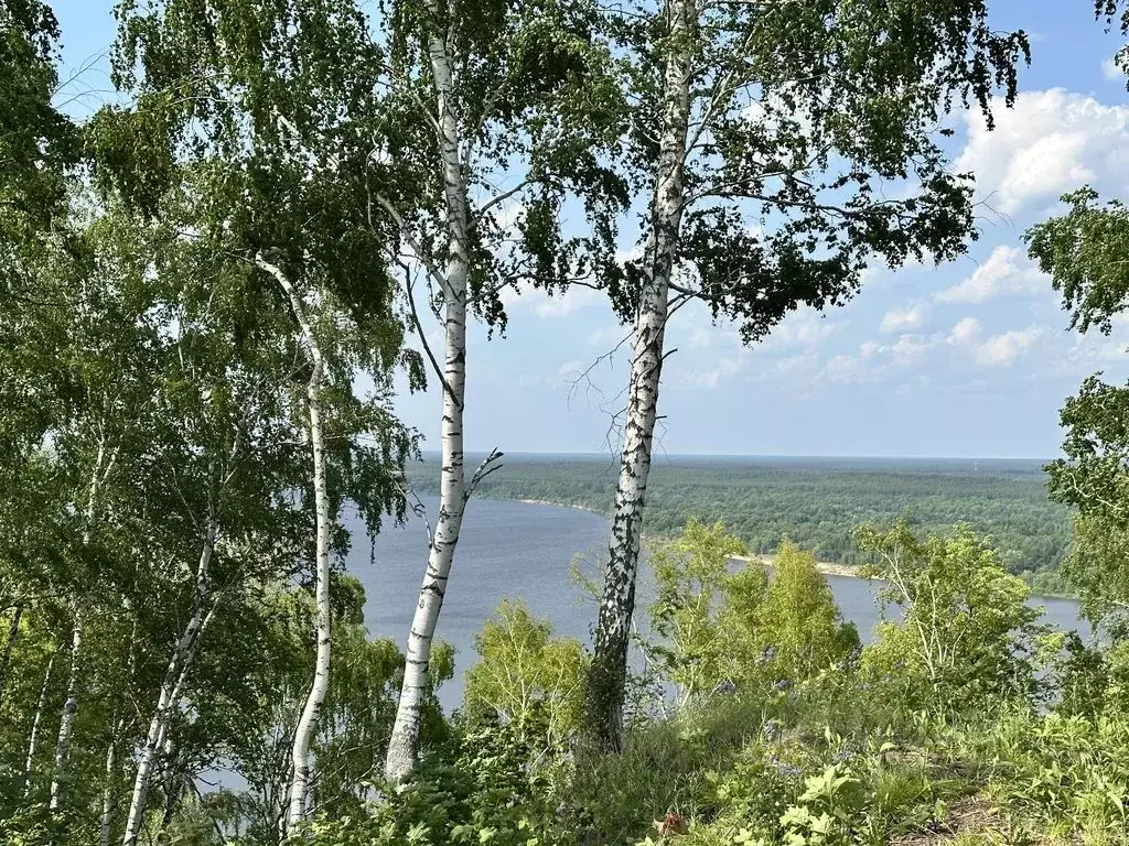 Дом в Нижегородская область, Нижний Новгород д. Голошубиха, ул. ... - Фото 1