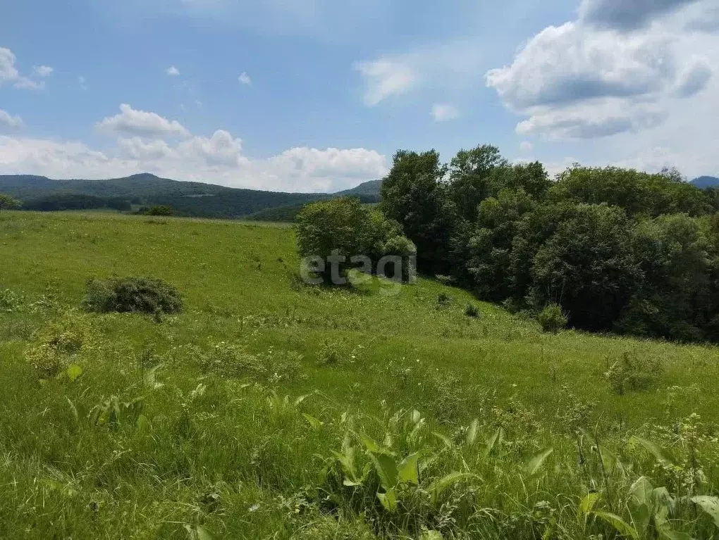 Участок в Адыгея, Майкопский район, Абадзехское с/пос, Севастопольская ... - Фото 1