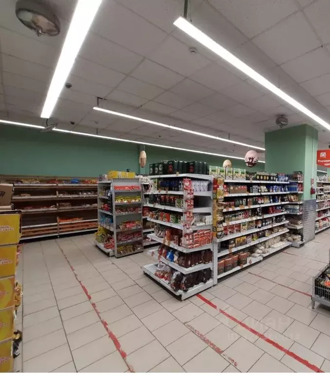 Помещение свободного назначения в Пермский край, Пермь ул. Куйбышева, ... - Фото 2