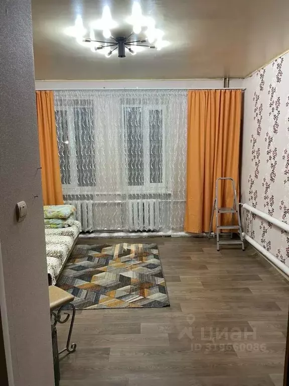 1-к кв. Нижегородская область, Бор Профсоюзная ул., 10 (22.5 м) - Фото 0